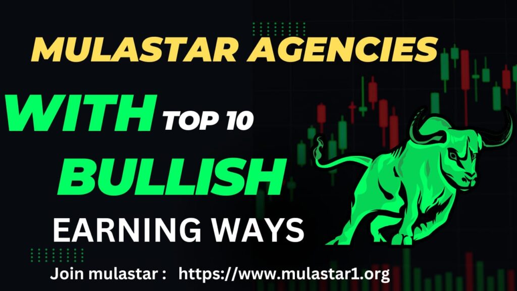 Mulastar Earnings – How Much Can You Really Make?