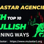 Mulastar Earnings – How Much Can You Really Make?