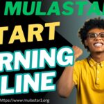 How Mulastar Works – Step-by-Step for Beginners