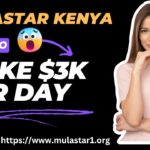 Mulastar Agencies – Kenya